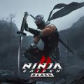 NINJA GAIDEN 2 Black电脑版