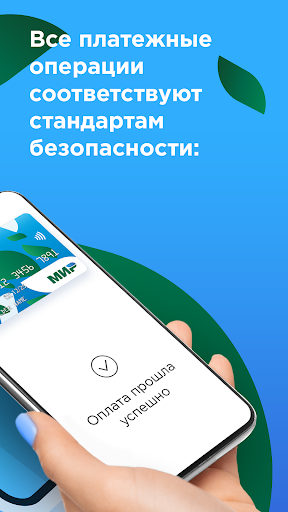 Mir Pay ПК